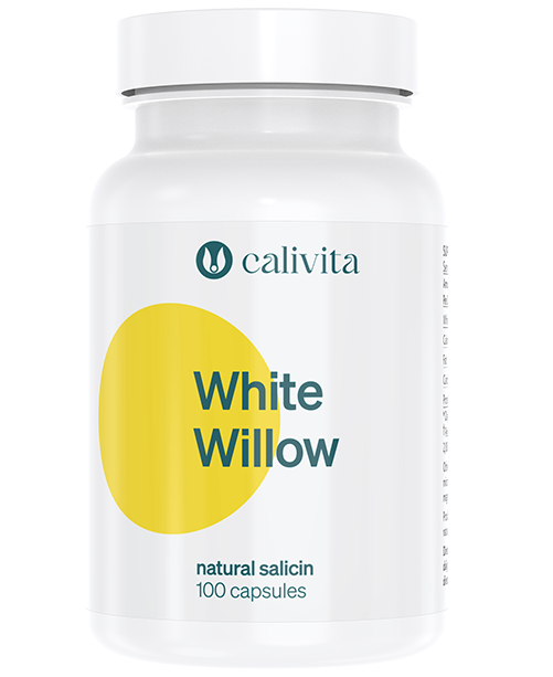 WhiteWillow